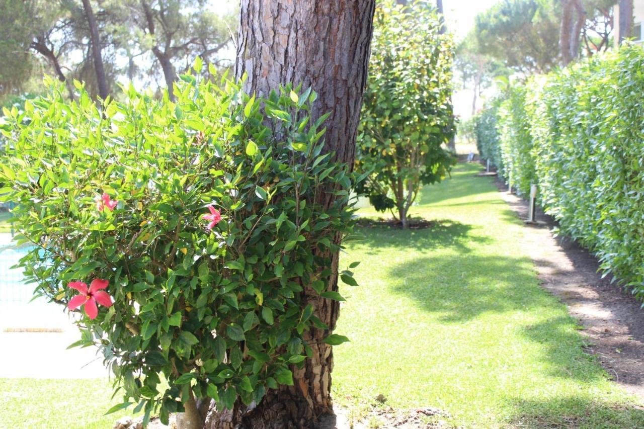 The Pinewood Villa Виламура Экстерьер фото
